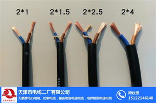 天津市电线二厂 护套线与控制电缆领域的专业品牌